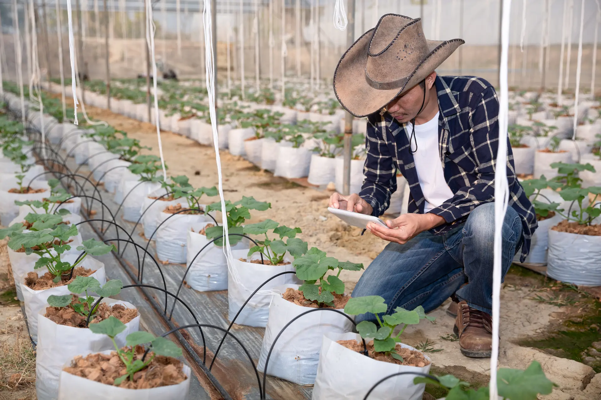 Agricultural workers tending to crops in a modern farm setting